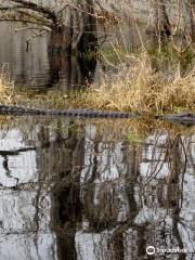 Black Bayou Lake National Wildlife Refuge Visitor Center