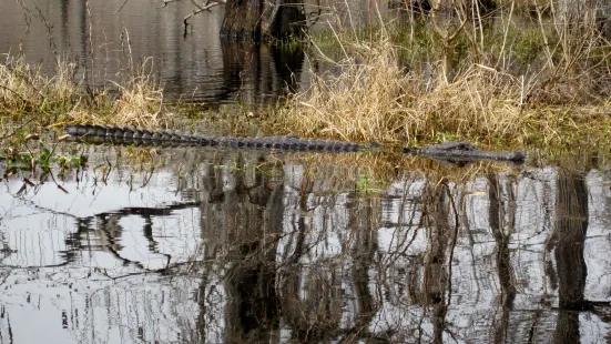 Black Bayou Lake National Wildlife Refuge