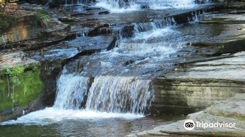 Eagle Cliff Falls