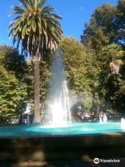 Plaza de Armas Bulnes