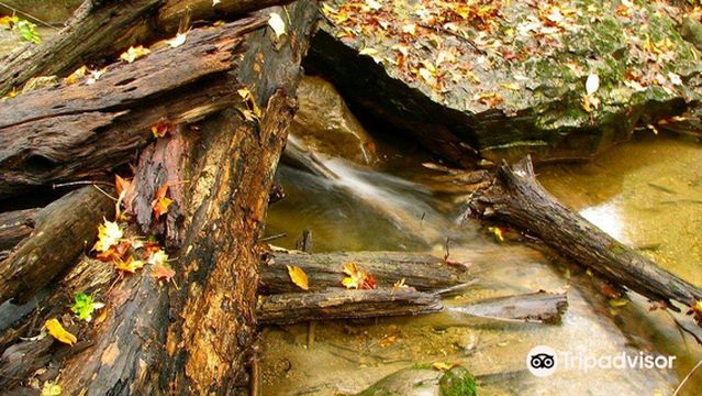 Baltimore Woods Nature Center