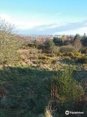 Kincorth Hill Nature Reserve