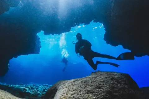 Hawaii Diving Experience