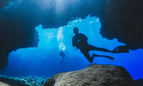 Hawaii Diving Experience