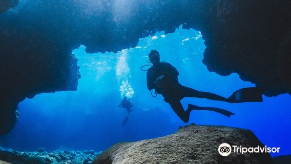 Hawaii Diving Experience