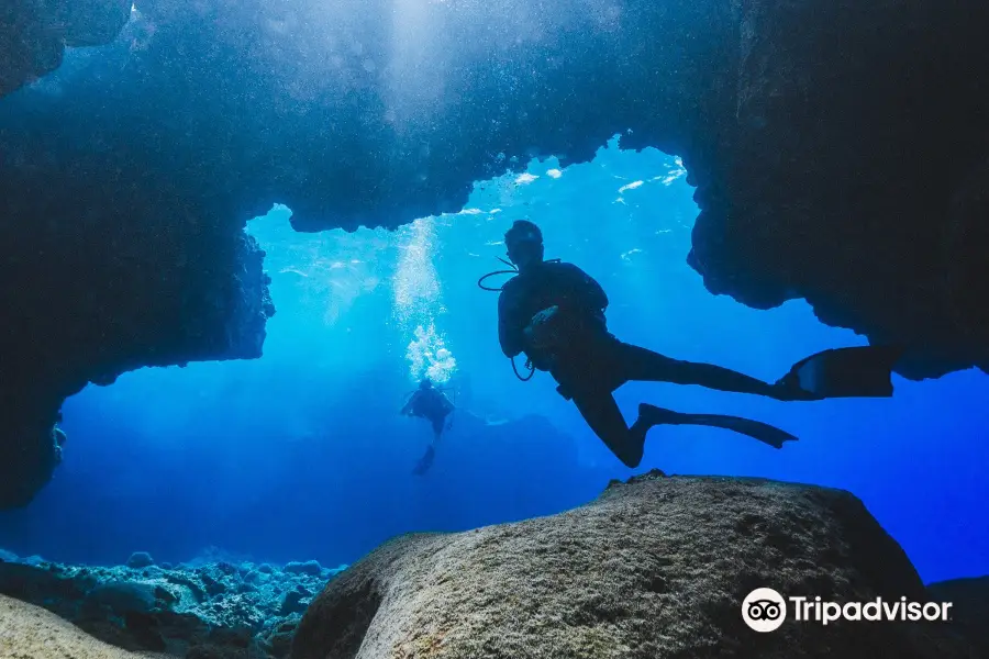 Big Island Divers