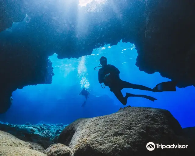 Hawaii Diving Experience