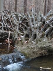 Bull Run Mountains Natural Area Preserve - Virginia Outdoors Foundation