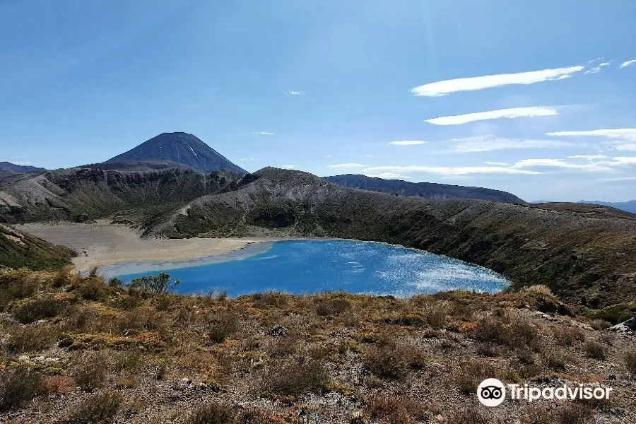 Whakapapa Nature Walk