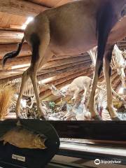 Idaho's Mammoth Cave & Shoshone Bird Museum Of Natural History