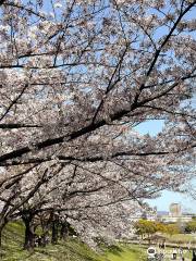 Uchiagegawa Chisui Ryokuchi Park