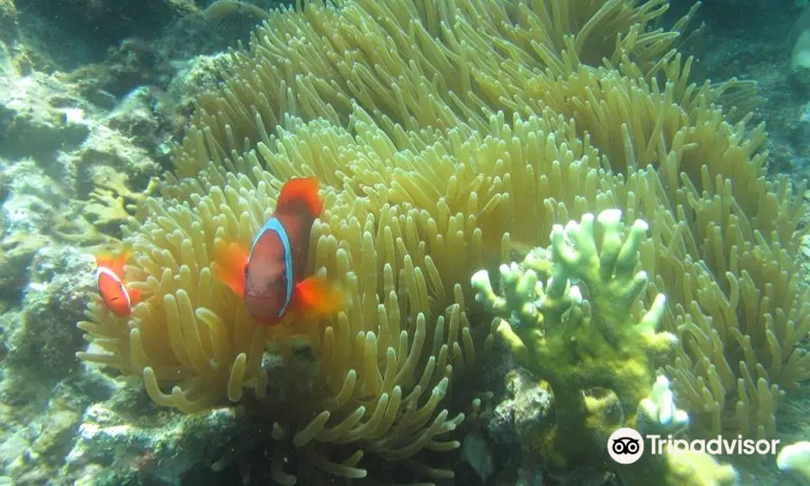 Searama Dive Center