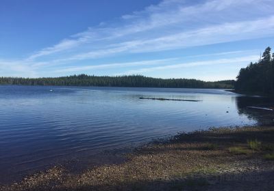 Pure Lake Provincial Park