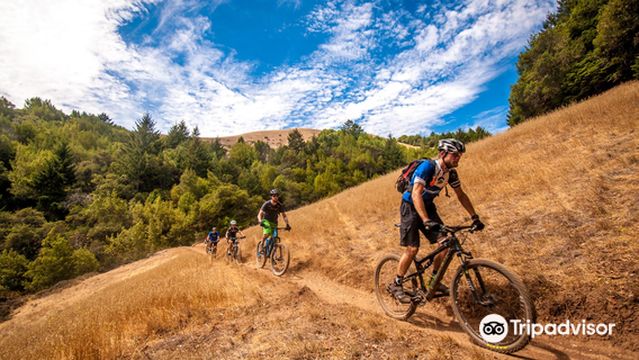 Mountain Bike San Francisco