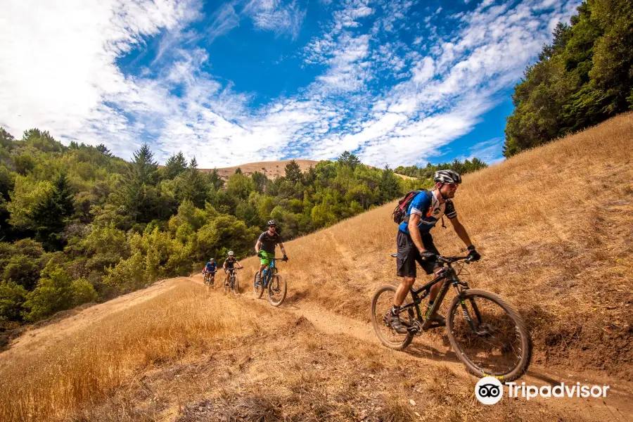 Mountain Bike San Francisco