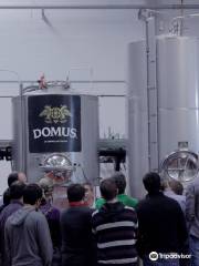 Cerveza Domus