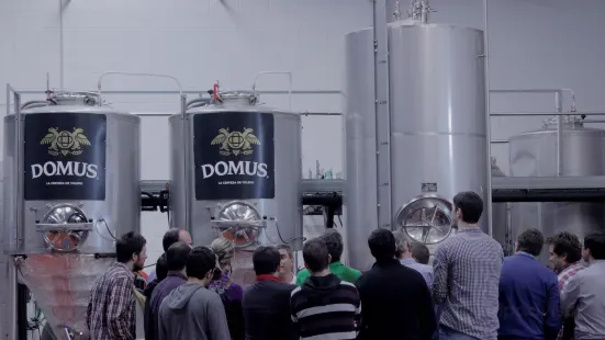 Cerveza Domus