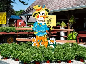Sonny Acres Farm