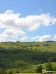 Azienda Vitivinicola Vigano