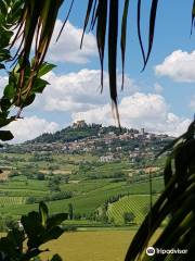 Fattoria Paradiso