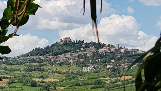 Fattoria Paradiso