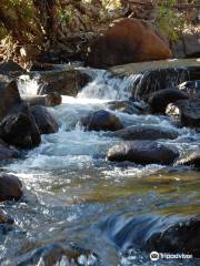 Alligator Creek Lookout