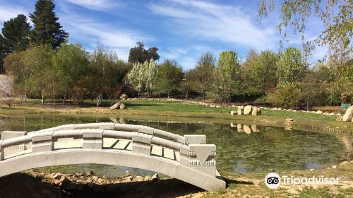 Beechworth Chinese Gardens