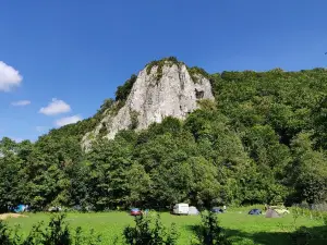 Brandysówka