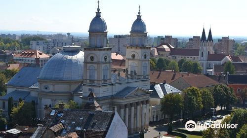 Ascension Cathedral Satu Mare