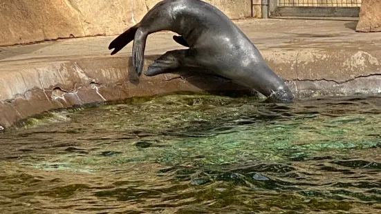 路易斯維爾動物園