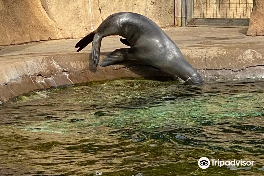 ルイビル動物園