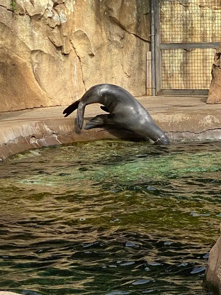 Hotels in der Nähe von Louisville Zoo