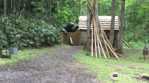 Sankebetsu Brown Bear Incident Fukugen Genchi