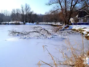 National Botanical Garden