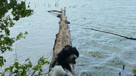 サンセット・ロック州立公園