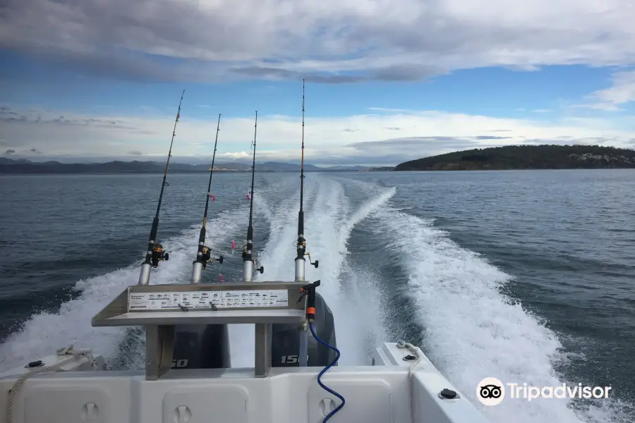Mr Flathead Fishing Charters Tasmania