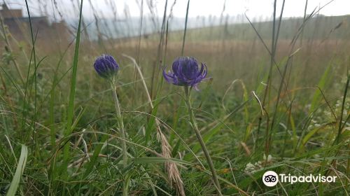 Beacon Hill Local Nature Reserve