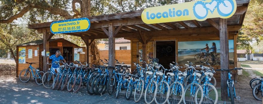 1 bicycle rental bicycles