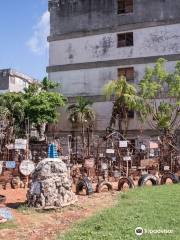 Museo de Gallo