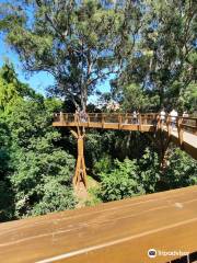 Treetop Walk Serralves