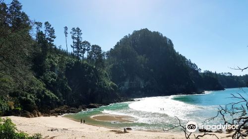 Pokohino Beach