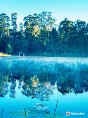 Kodaikanal Lake