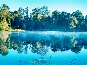 Kodaikanal Lake