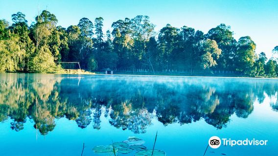 Kodaikanal Lake