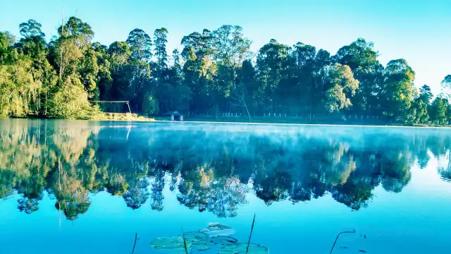 Hotels near Kodaikanal Lake