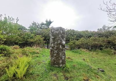 Pictish Stone