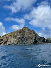 Island Explorer Charters