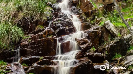 Kings Waterfall