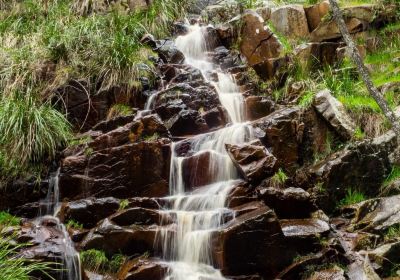 Kings Waterfall