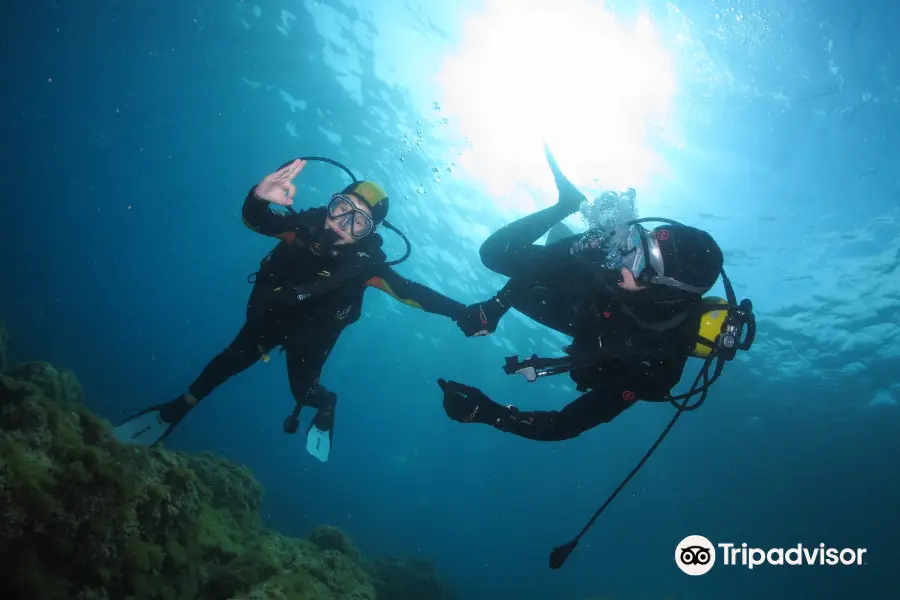 Passion Scuba Diving psdiving